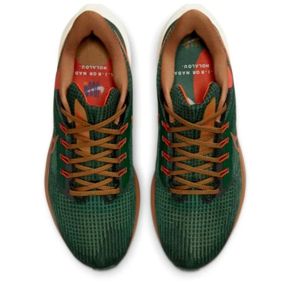 NIKE AIR ZOOM PEGASUS 39 A.I.R. HOLA LOU MEN\'S Size 13 NWOB main image 12